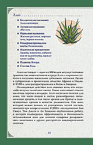 Магический мир трав. Рецепты и ритуалы для жизни
